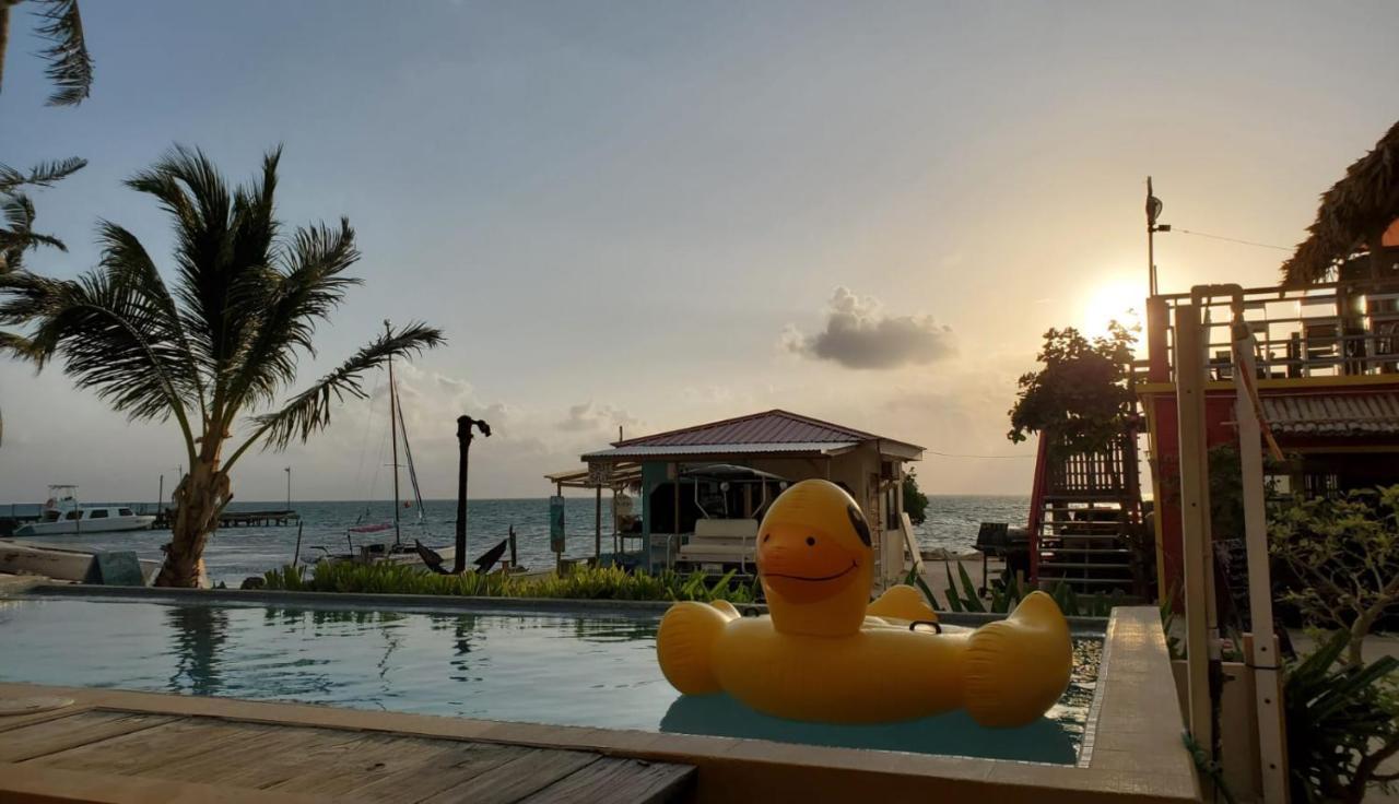 Beach Club Condos At Popeyes Caye Caulker Zewnętrze zdjęcie